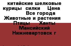 китайские шелковые курицы (силки) › Цена ­ 2 500 - Все города Животные и растения » Птицы   . Ханты-Мансийский,Нижневартовск г.